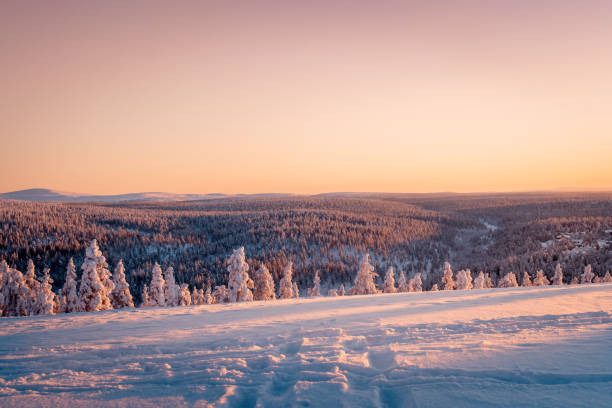 Lapland landscape and tykky trees covered in snow